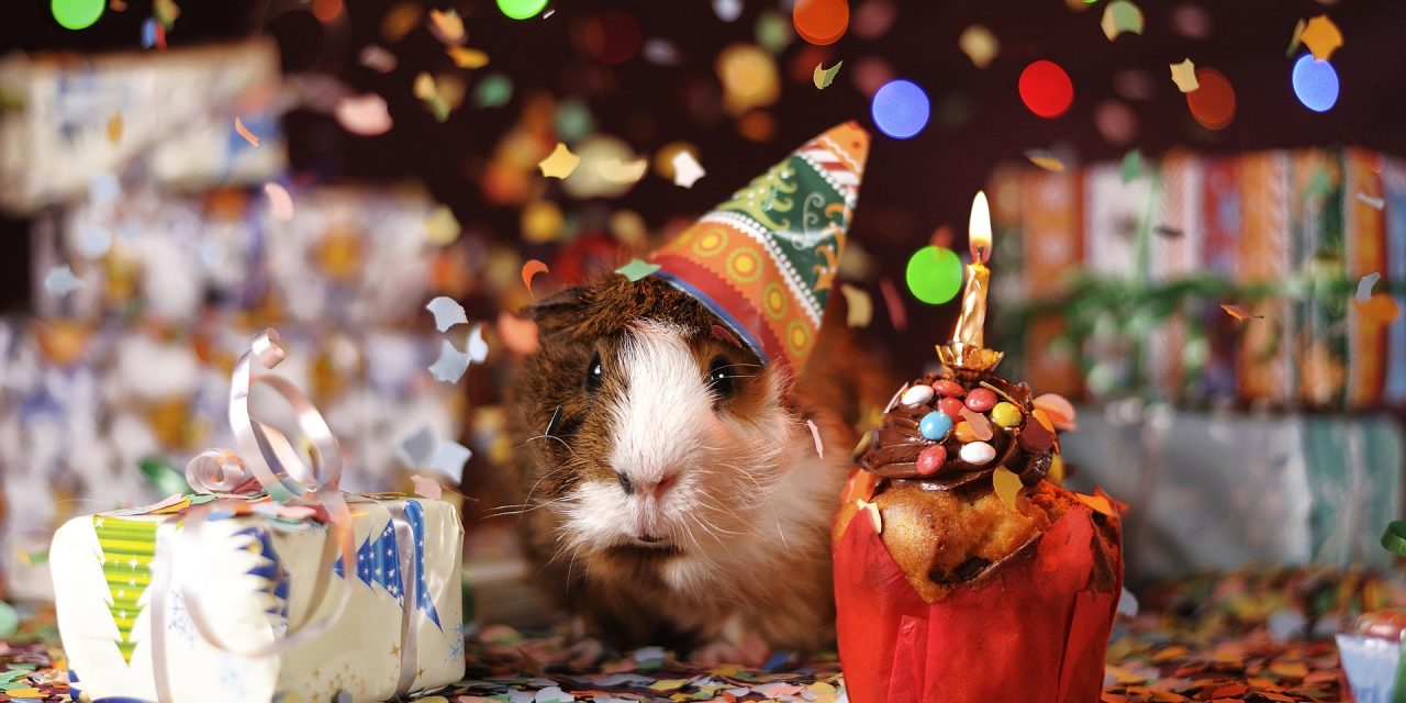 Offrir à un proche un cadeau d’anniversaire original